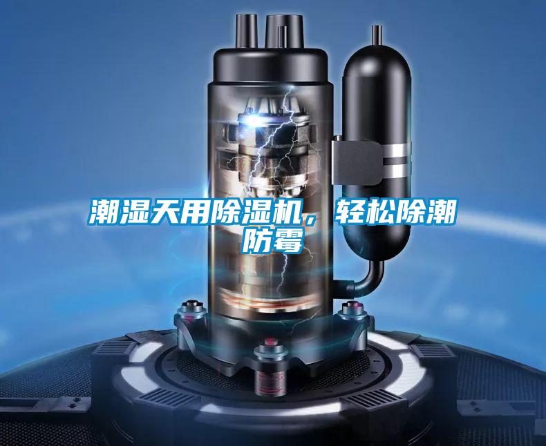 潮濕天用除濕機，輕松除潮防霉