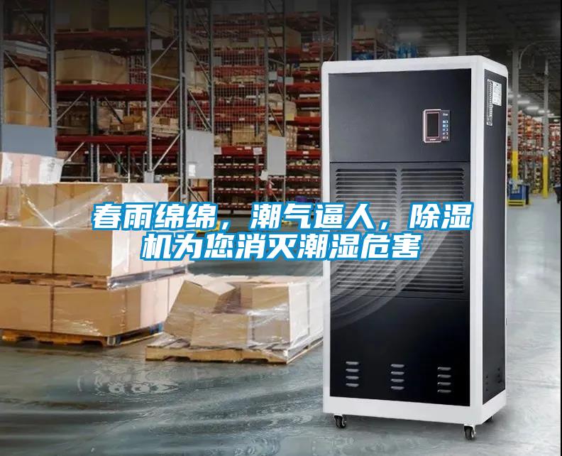 春雨綿綿，潮氣逼人，除濕機為您消滅潮濕危害