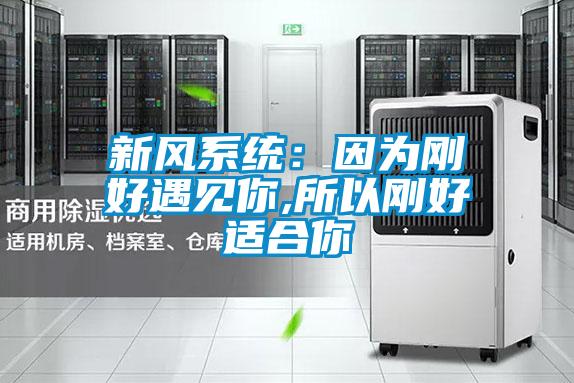 新風(fēng)系統(tǒng)：因?yàn)閯偤糜鲆娔?所以剛好適合你