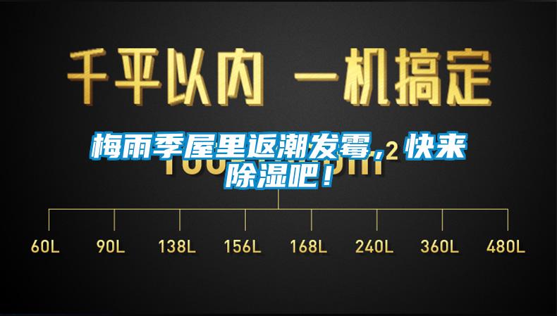 梅雨季屋里返潮發(fā)霉，快來(lái)除濕吧！