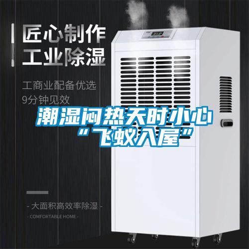 潮濕悶熱天時(shí)小心“飛蟻入屋”