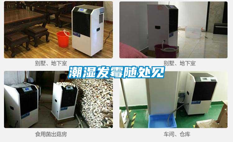 潮濕發霉隨處見