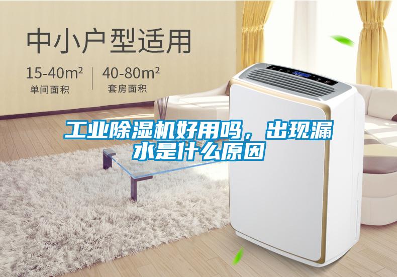 工業除濕機好用嗎，出現漏水是什么原因