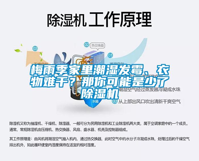 梅雨季家里潮濕發(fā)霉、衣物難干？那你可能是少了除濕機