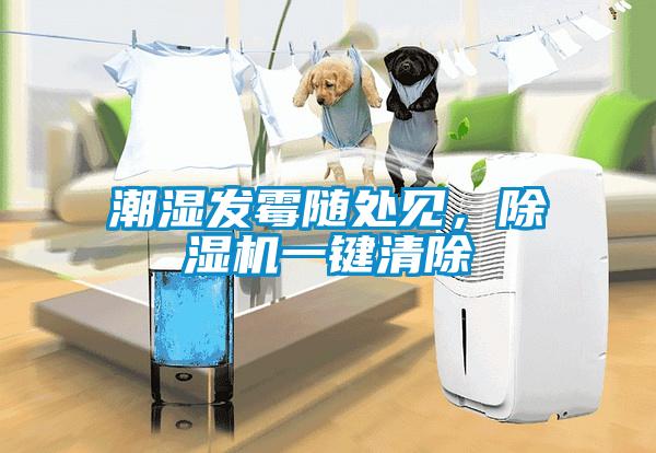 潮濕發(fā)霉隨處見，除濕機一鍵清除