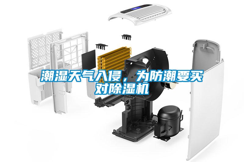 潮濕天氣入侵，為防潮要買對除濕機