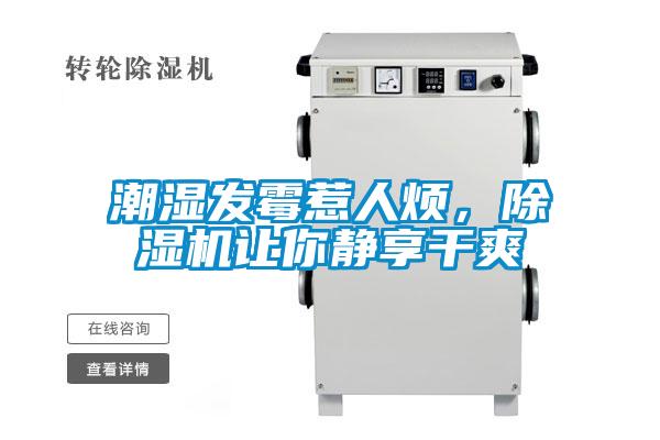 潮濕發(fā)霉惹人煩，除濕機讓你靜享干爽