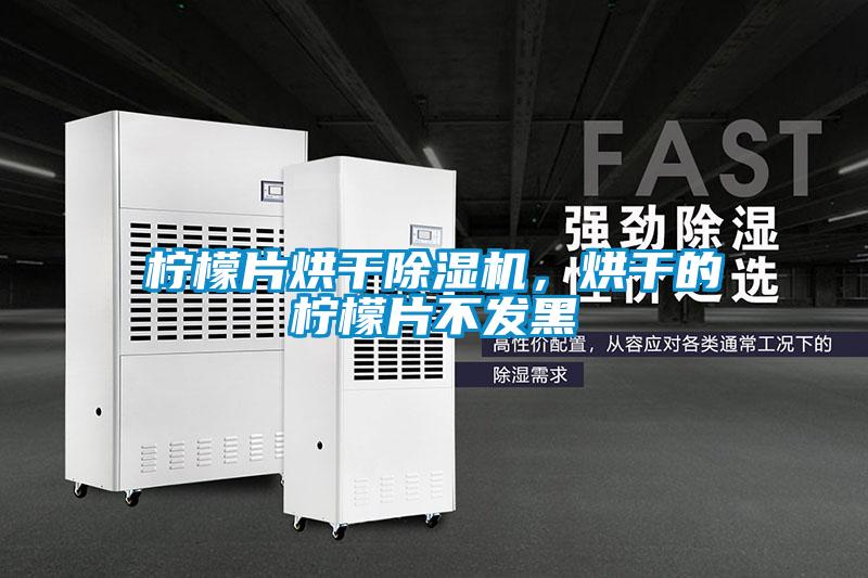 檸檬片烘干除濕機，烘干的檸檬片不發黑