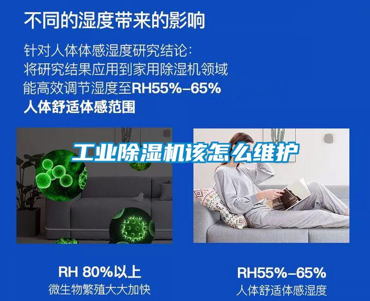 工業(yè)除濕機(jī)該怎么維護(hù)