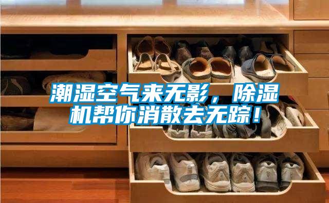 潮濕空氣來無影，除濕機幫你消散去無蹤！