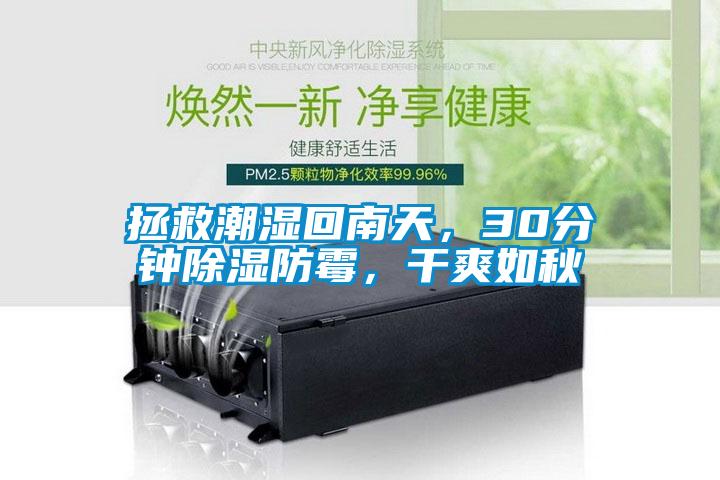 拯救潮濕回南天，30分鐘除濕防霉，干爽如秋