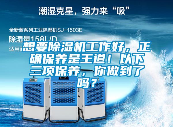 想要除濕機工作好，正確保養是王道！以下三項保養，你做到了嗎？