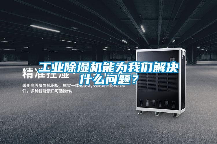 工業(yè)除濕機(jī)能為我們解決什么問題？