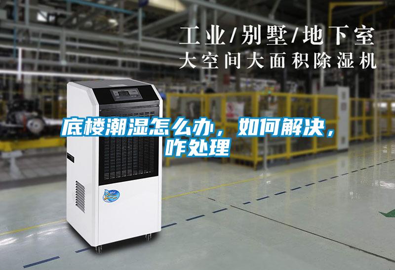 底樓潮濕怎么辦，如何解決，咋處理