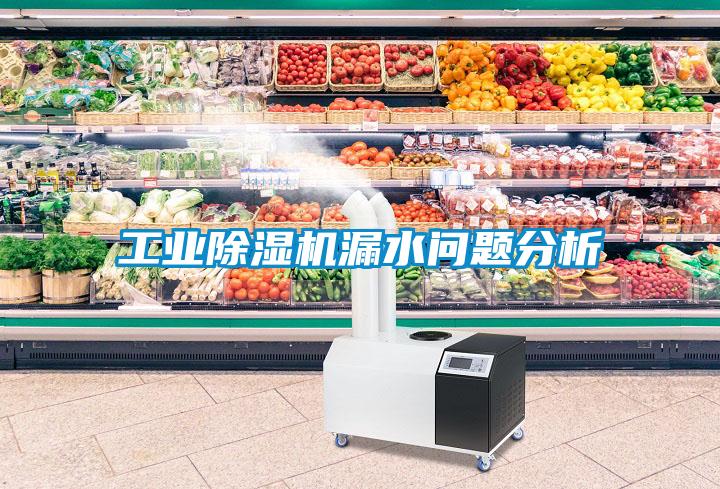 工業(yè)除濕機(jī)漏水問題分析