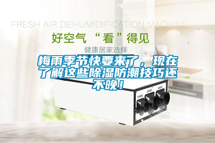 梅雨季節(jié)快要來了，現(xiàn)在了解這些除濕防潮技巧還不晚！
