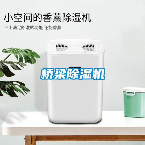 橋梁除濕機