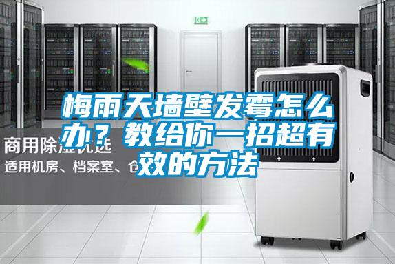 梅雨天墻壁發(fā)霉怎么辦？教給你一招超有效的方法