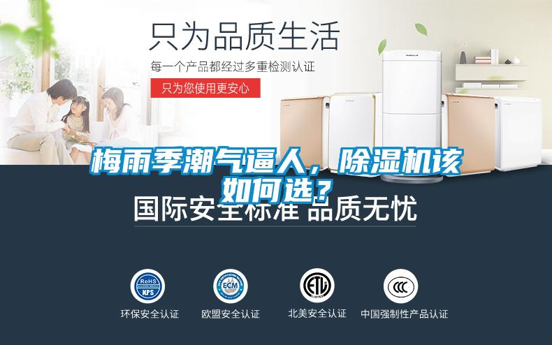梅雨季潮氣逼人，除濕機(jī)該如何選？