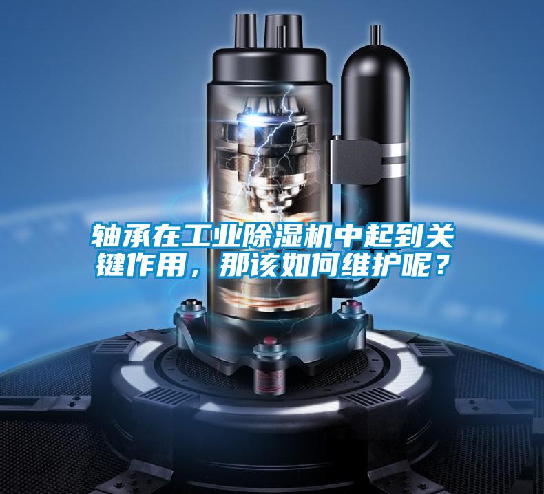 軸承在工業(yè)除濕機中起到關鍵作用，那該如何維護呢？