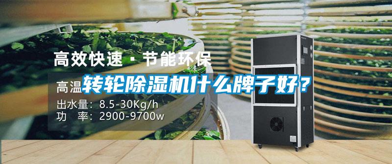 轉(zhuǎn)輪除濕機(jī)什么牌子好？