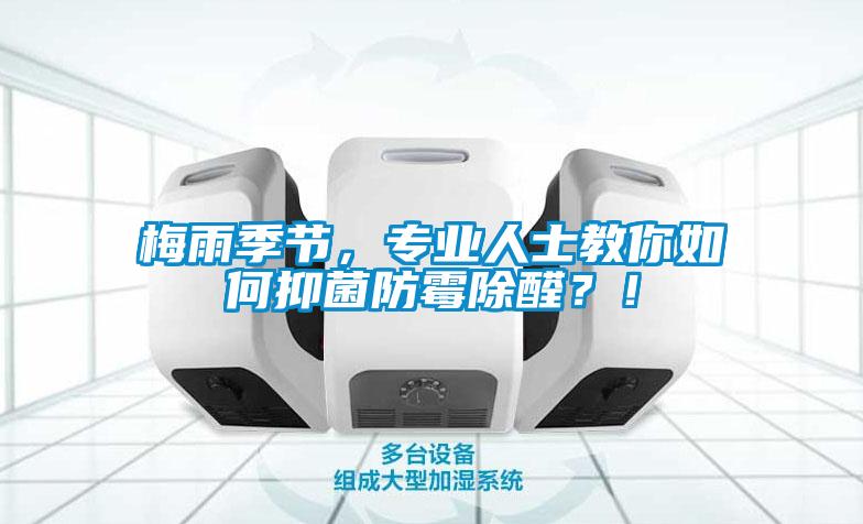 梅雨季節，專業人士教你如何抑菌防霉除醛？！