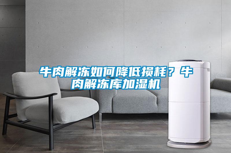 牛肉解凍如何降低損耗？牛肉解凍庫加濕機