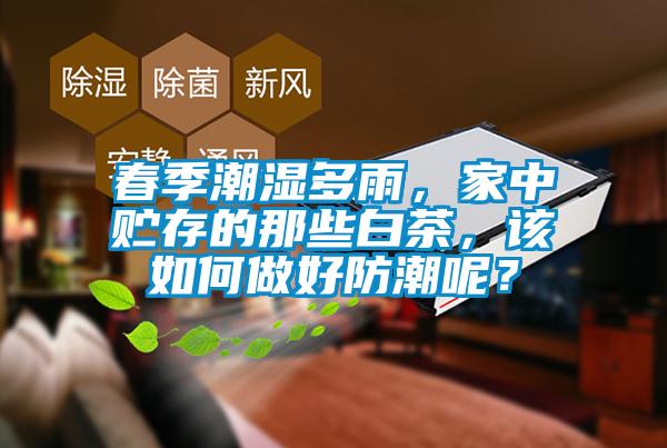 春季潮濕多雨，家中貯存的那些白茶，該如何做好防潮呢？