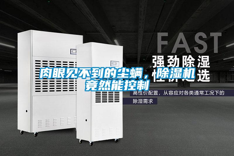 肉眼見不到的塵螨，除濕機竟然能控制