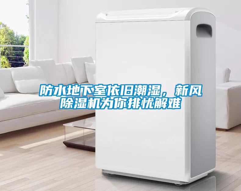 防水地下室依舊潮濕，新風除濕機為你排憂解難