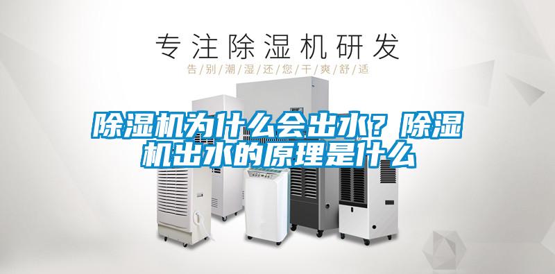除濕機(jī)為什么會(huì)出水？除濕機(jī)出水的原理是什么