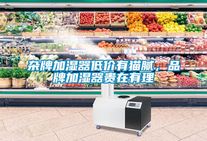 雜牌加濕器低價有貓膩，品牌加濕器貴在有理