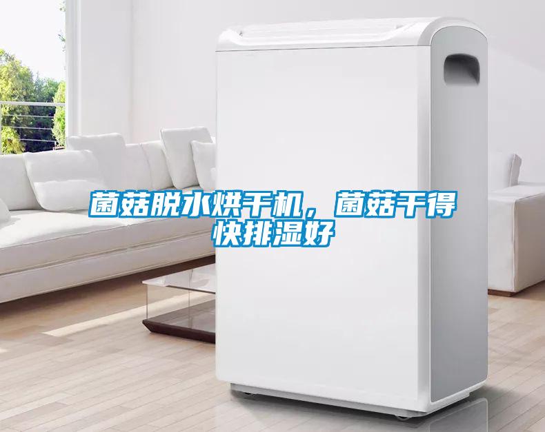 菌菇脫水烘干機，菌菇干得快排濕好
