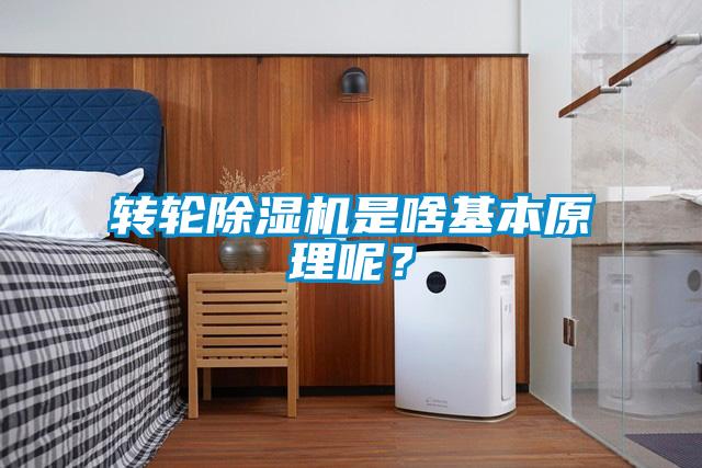 轉輪除濕機是啥基本原理呢？