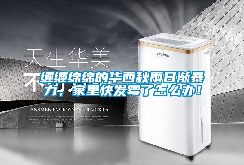 纏纏綿綿的華西秋雨日漸暴力，家里快發霉了怎么辦！