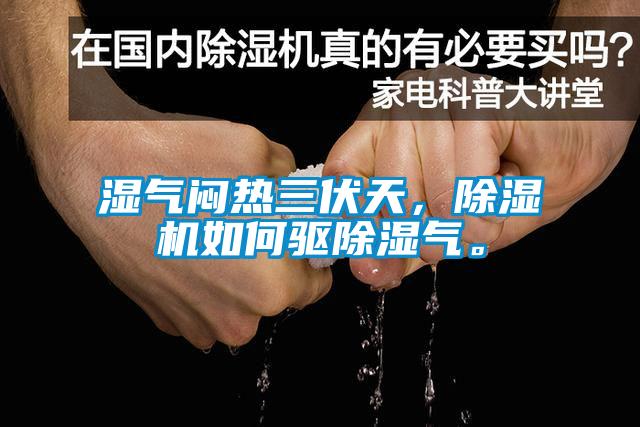 濕氣悶熱三伏天，除濕機如何驅除濕氣。