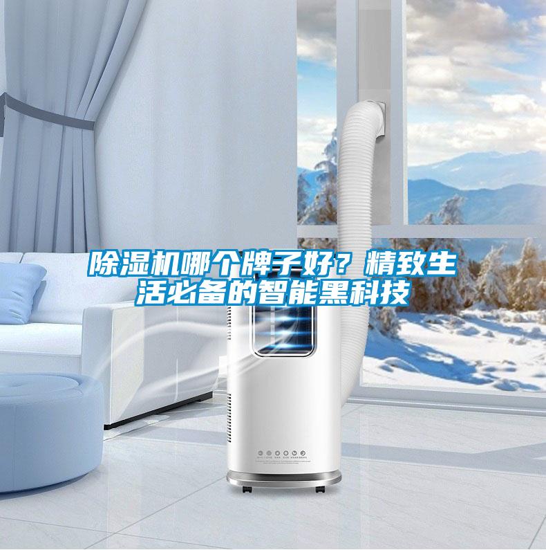 除濕機(jī)哪個(gè)牌子好？精致生活必備的智能黑科技