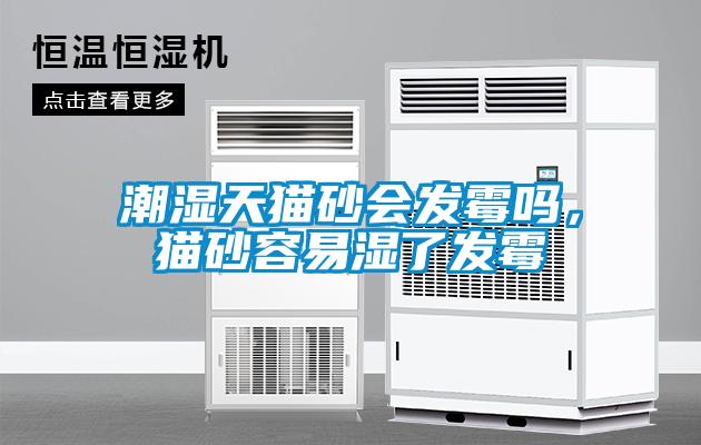 潮濕天貓砂會發(fā)霉嗎，貓砂容易濕了發(fā)霉