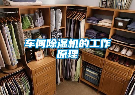 車間除濕機(jī)的工作原理