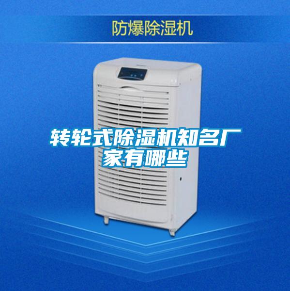 轉(zhuǎn)輪式除濕機知名廠家有哪些