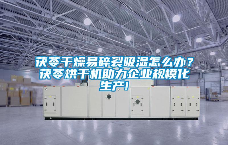 茯苓干燥易碎裂吸濕怎么辦？茯苓烘干機助力企業規模化生產!