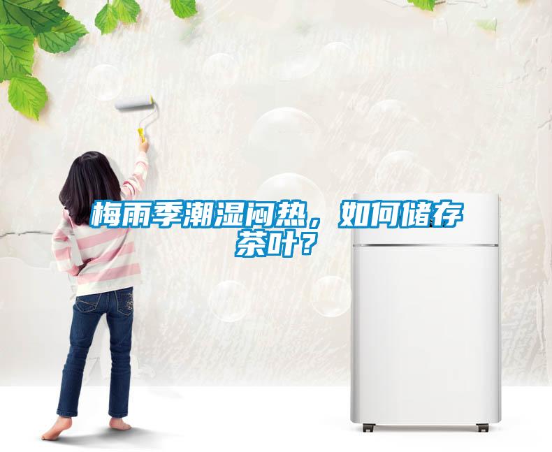 梅雨季潮濕悶熱，如何儲存茶葉？