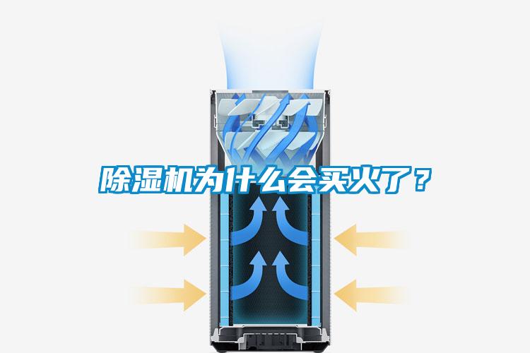 除濕機(jī)為什么會(huì)買火了？