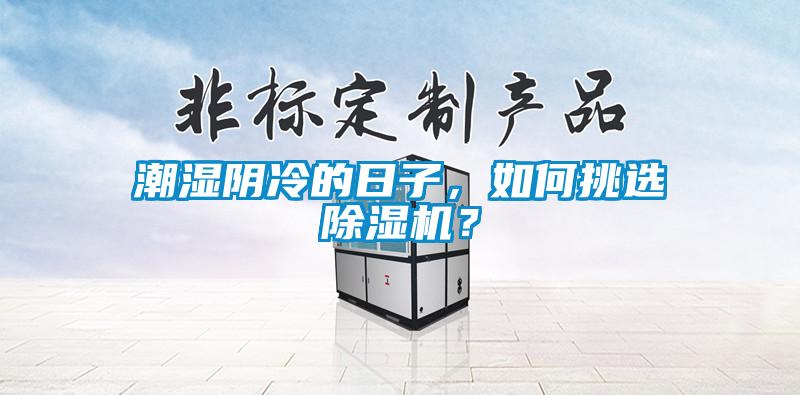 潮濕陰冷的日子，如何挑選除濕機？