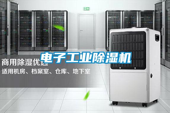 電子工業(yè)除濕機