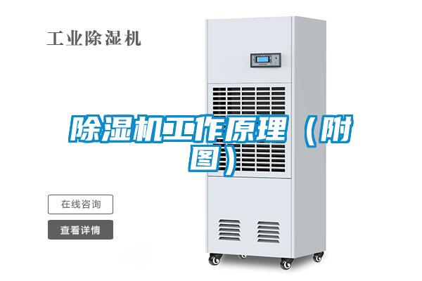 除濕機(jī)工作原理（附圖）