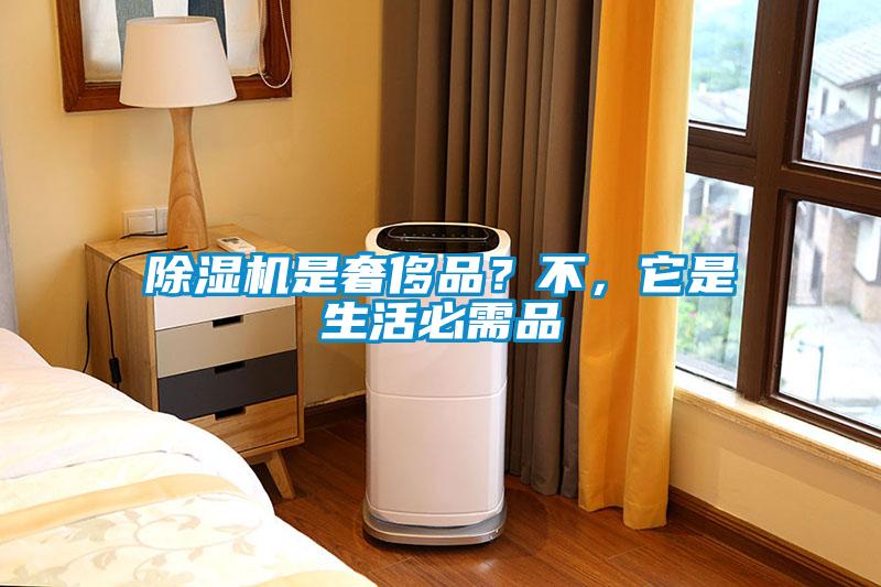 除濕機是奢侈品？不，它是生活必需品
