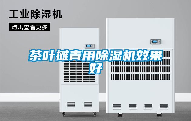 茶葉攤青用除濕機效果好