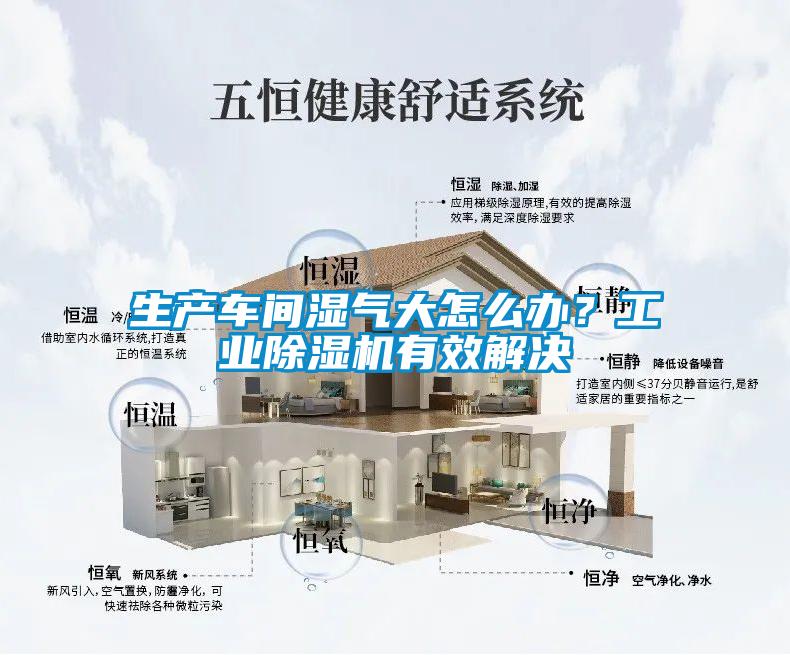 生產車間濕氣大怎么辦？工業除濕機有效解決