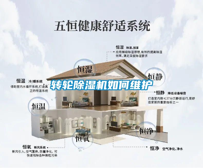 轉(zhuǎn)輪除濕機(jī)如何維護(hù)